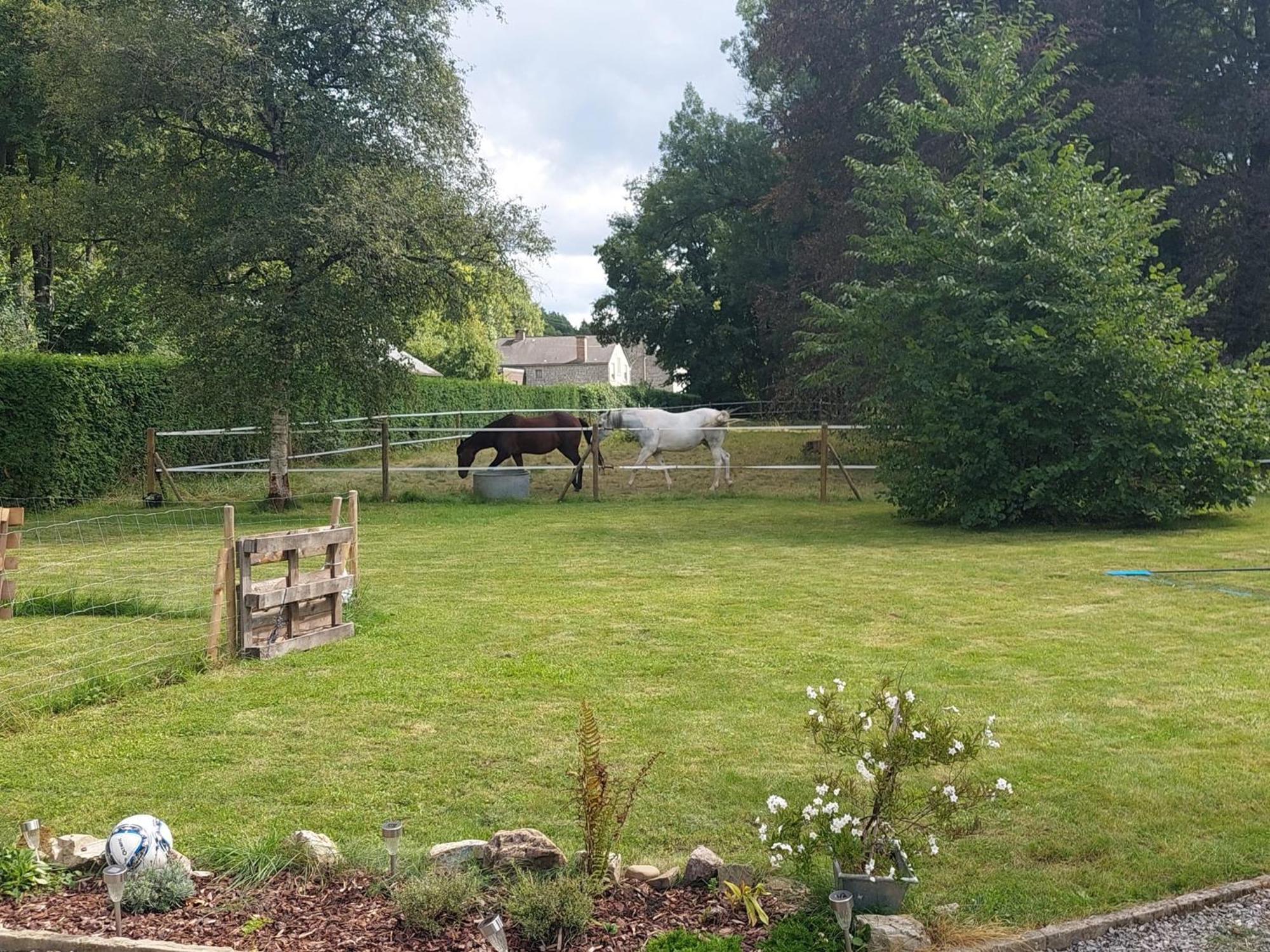Au Doux Chardon Bed & Breakfast Durbuy Eksteriør bilde